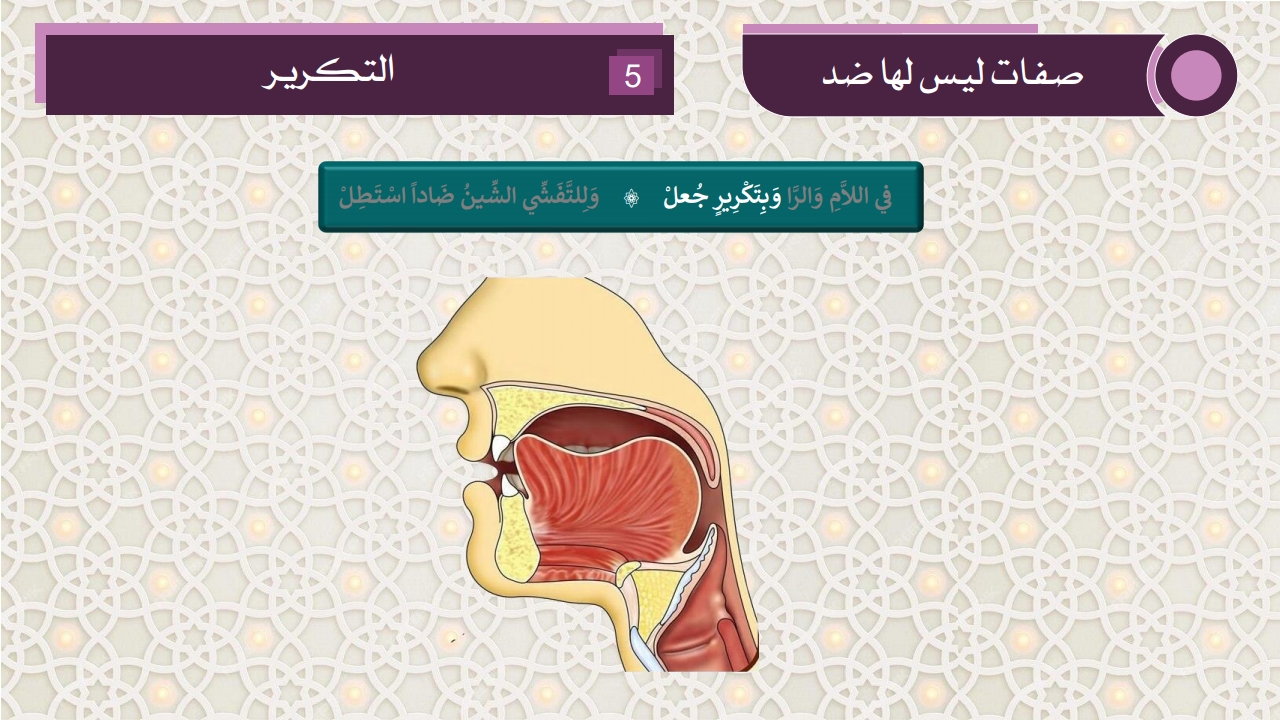 صفات الحروف - الصفحة 22